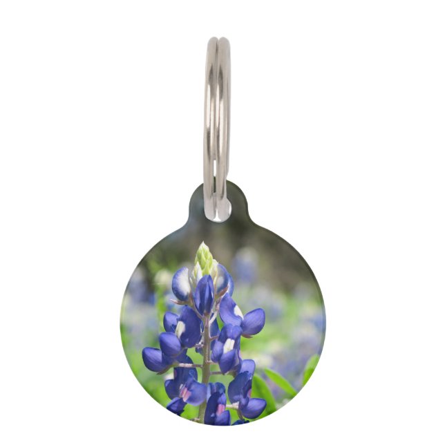 Bluebonnet Pet ID Tag (Front)