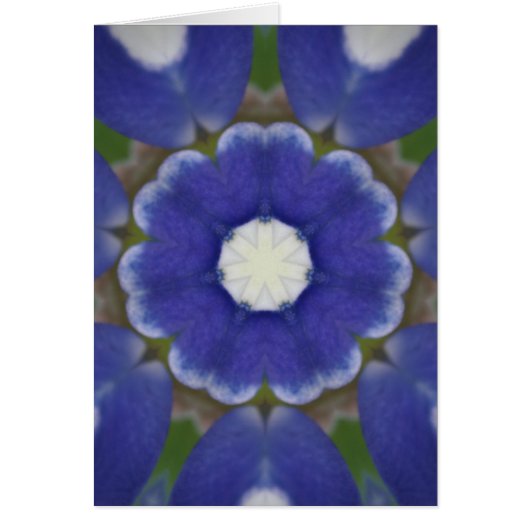 Bluebonnet Petal Kaleidoscope (Front)