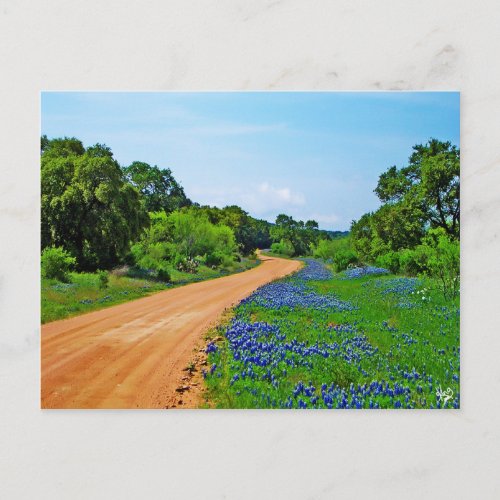 Bluebonnet Road Willow City Loop TX Postcard