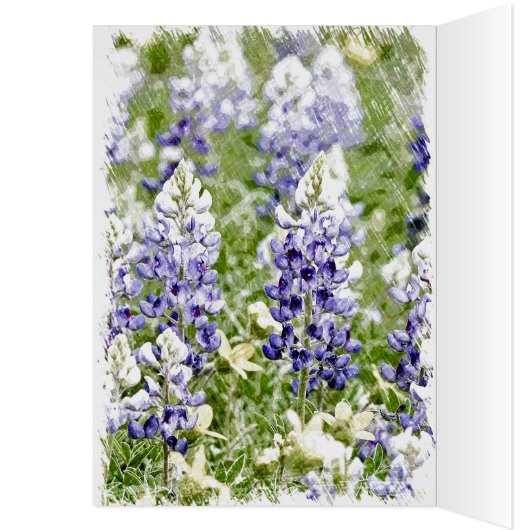 Bluebonnet Sketch (Inside (Left))