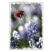 Bluebonnet Sketch (Front)