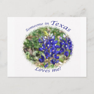 Bluebonnet "Someone in Texas Loves Me" Postcard