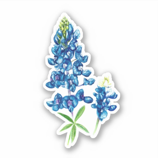Bluebonnet Sticker (Front)
