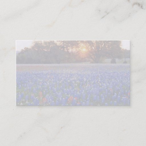Customizable bluebonnet sunrise business card