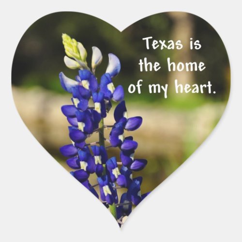 Bluebonnet Texas is the Home of My Heart Sticker