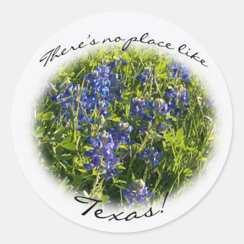 Bluebonnet Theres no place like Texas Sticker