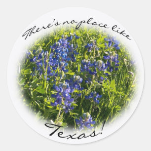 Bluebonnet "There's no place like Texas" Sticker
