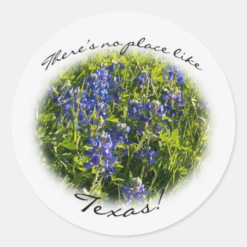 Bluebonnet Theres no Place Like Texas Sticker