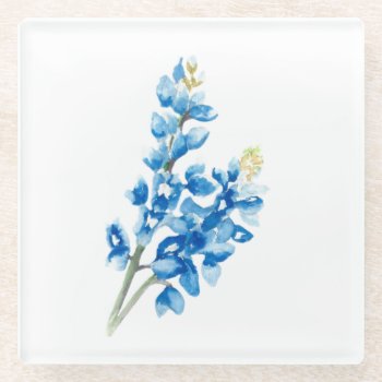 Bluebonnets 4  Glass Coaster by Eclectic_Ramblings at Zazzle