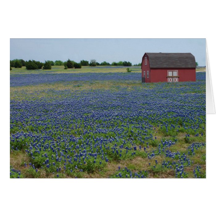 Bluebonnets and a Red Barn Greeting Cards