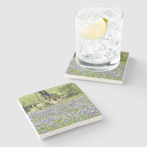 Bluebonnets And Cactus Marble Stone Coasters