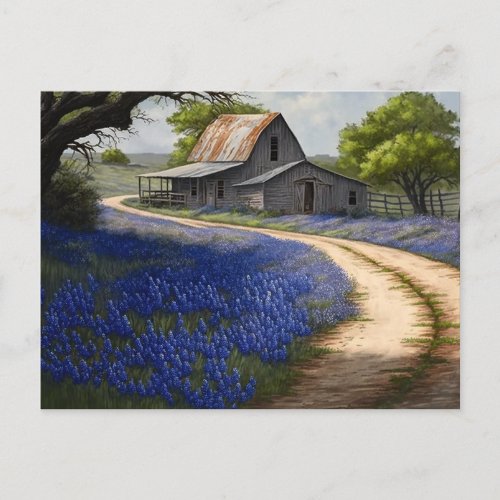 Bluebonnets and Old Barn in Texas Postcard