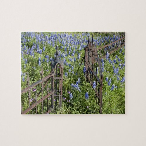 Bluebonnets and phlox surrounding cemetery gate jigsaw puzzle