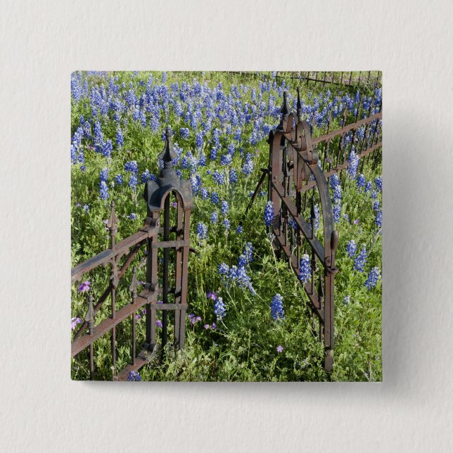 Bluebonnets and phlox surrounding cemetery gate pinback button (Front)