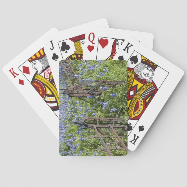 Bluebonnets and phlox surrounding cemetery gate poker cards (Back)