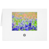 Bluebonnets at Evening Cards (Back Horizontal)