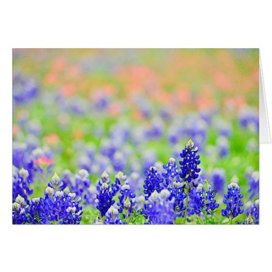 Bluebonnets at Evening Cards (Front Horizontal)