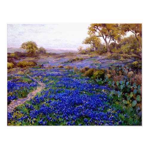 Bluebonnets at Twilight North of San Antonio Photo Print