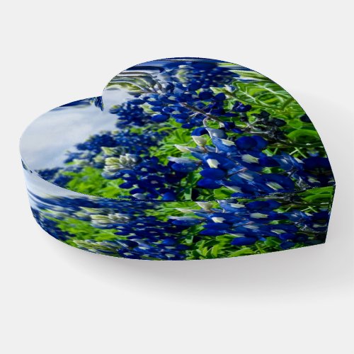 Bluebonnets Blue Floral Texas Texan Elegant Paperweight