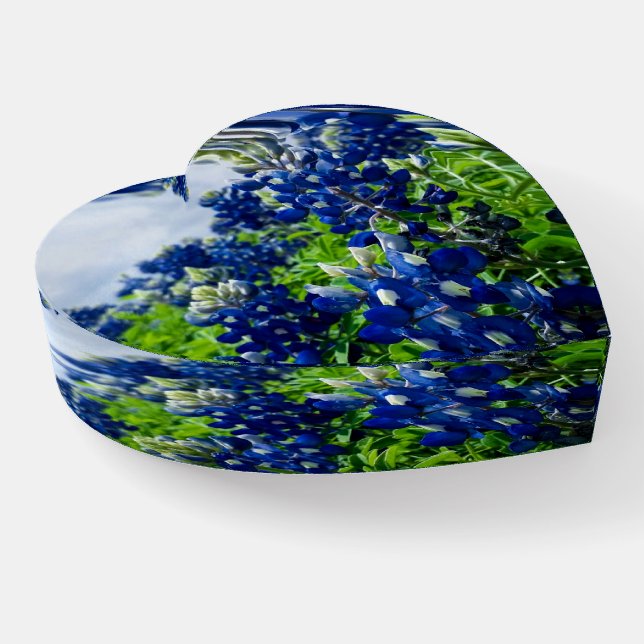 Bluebonnets Blue Floral Texas Texan Elegant Paperweight (Angled)