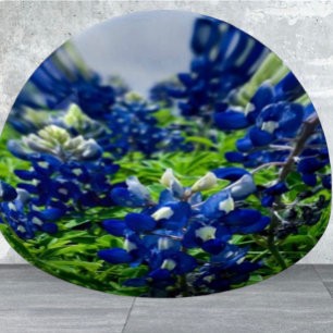 Bluebonnets Blue Floral Texas Texan Elegant Paperweight