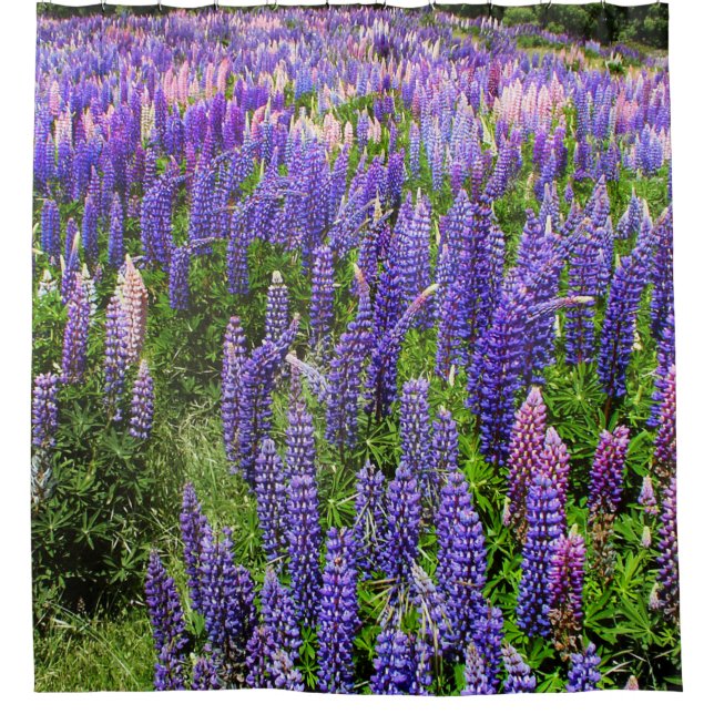 Bluebonnets Blue Floral Texas Texan Elegant Shower Curtain (Front)