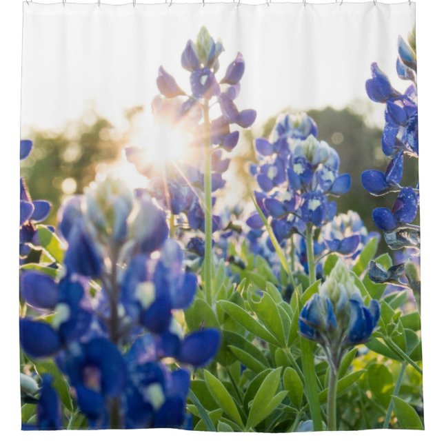 Bluebonnets Blue Floral Texas Texan Elegant Shower Curtain (Front)