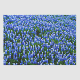Bluebonnets Blue Floral Texas Texan Elegant Tissue Paper