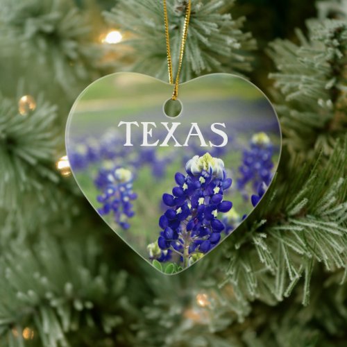 Bluebonnets Blue Flowers Texas Texan Floral Ceramic Ornament