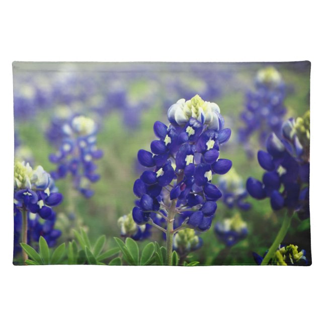 Bluebonnets Blue Flowers Texas Texan Floral Cloth Placemat (Front)