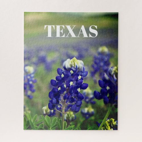 Bluebonnets Blue Flowers Texas Texan Floral Jigsaw Puzzle