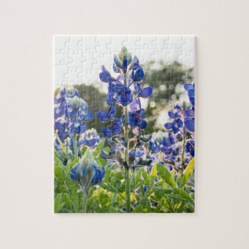 Bluebonnets Blue Flowers Texas Texan Floral Jigsaw Puzzle