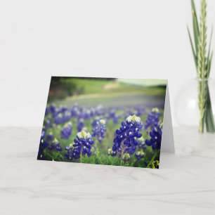 Bluebonnets Blue Flowers Texas Texan Floral Letterpress Thank You Card