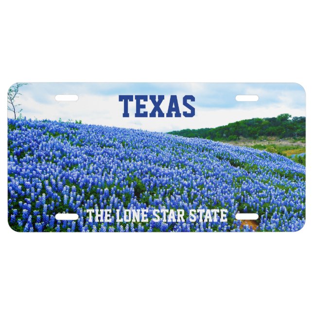 Bluebonnets Blue Flowers Texas Texan Floral Licens License Plate (Front)