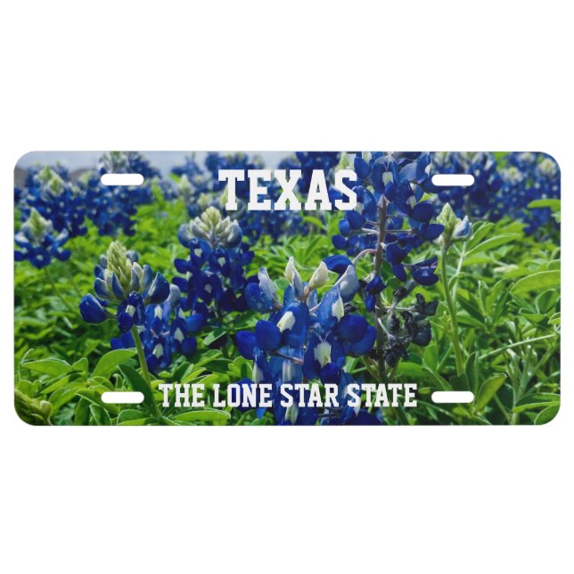 Bluebonnets Blue Flowers Texas Texan Floral License Plate (Front)