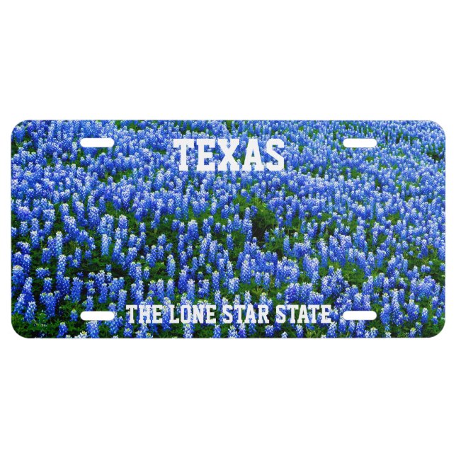 Bluebonnets Blue Flowers Texas Texan Floral  License Plate (Front)