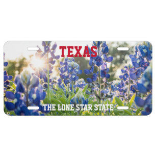 Bluebonnets Blue Flowers Texas Texan Floral License Plate