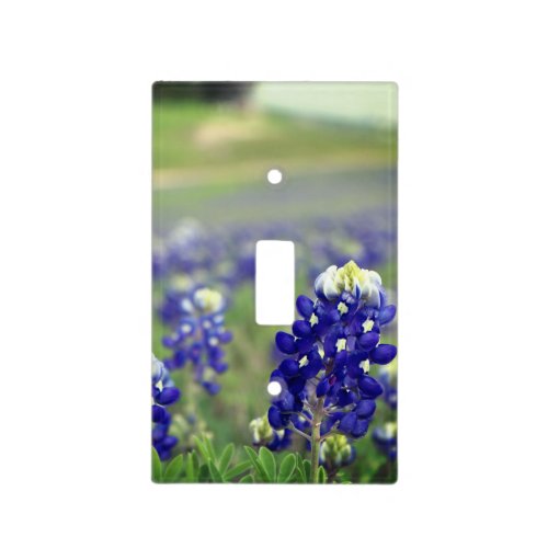 Bluebonnets Blue Flowers Texas Texan Floral Light Switch Cover
