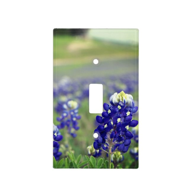 Bluebonnets Blue Flowers Texas Texan Floral Light Switch Cover (Front)