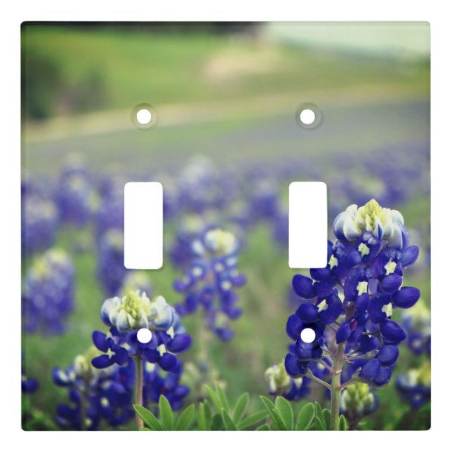Bluebonnets Blue Flowers Texas Texan Floral Light Switch Cover (Front)