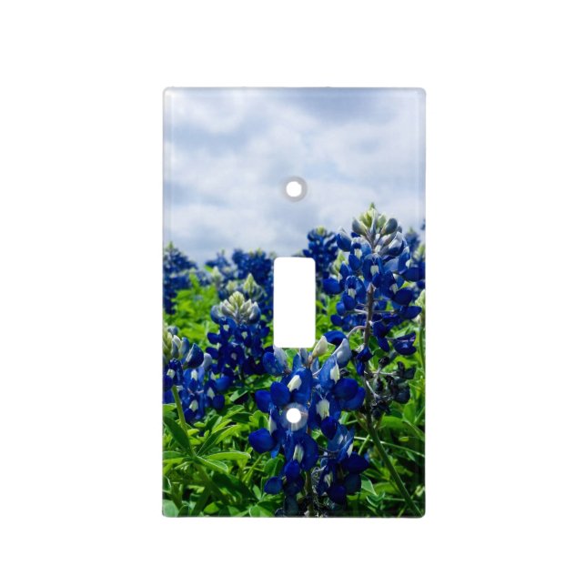 Bluebonnets Blue Flowers Texas texan Floral Light Switch Cover (Front)