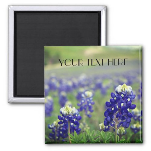 Bluebonnets Blue Flowers Texas texan Floral Magnet