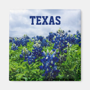Bluebonnets Blue Flowers Texas Texan Floral Magnet