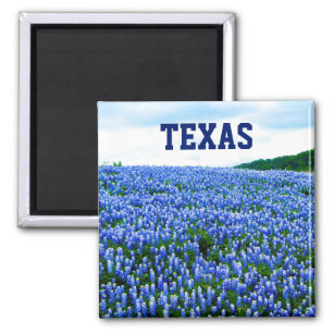 Bluebonnets Blue Flowers Texas Texan Floral Magnet