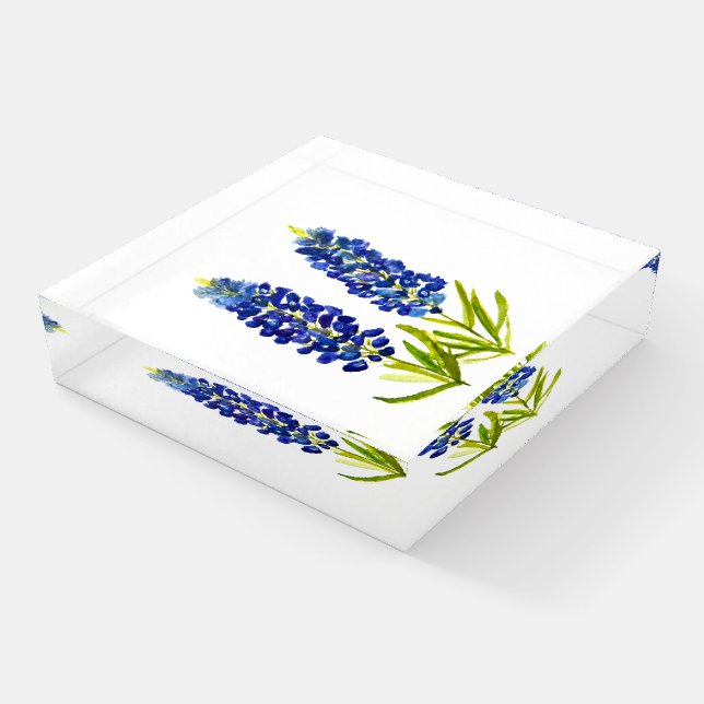 Bluebonnets Blue Flowers Texas Texan Lupine Paperweight (Angled)