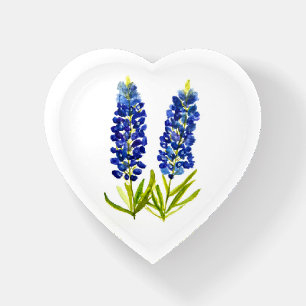 Bluebonnets Blue Flowers Texas Texan Lupine Paperweight