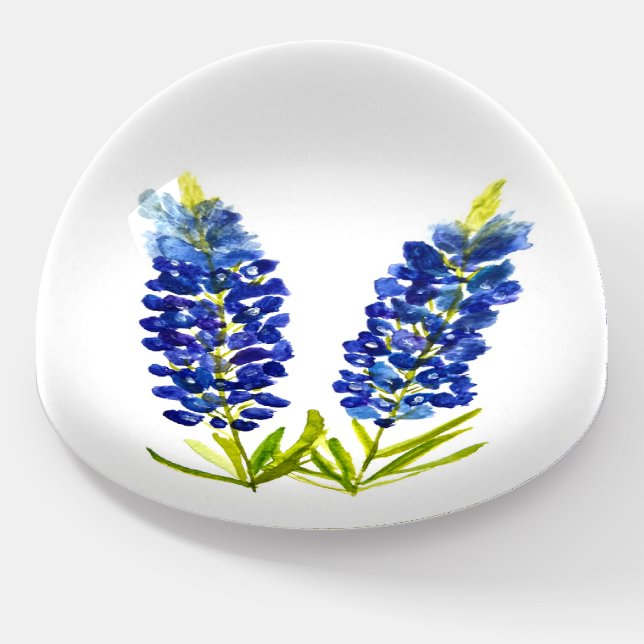 Bluebonnets Blue Flowers Texas Texan Lupine Paperweight (Angled)