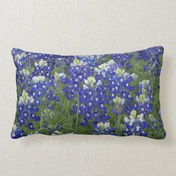 Bluebonnets Field Texas State Flower Lumbar Pillow by RossiCards at Zazzle