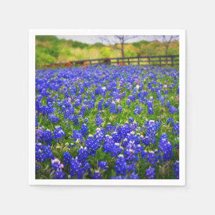 Bluebonnets in Texas Paper Napkins