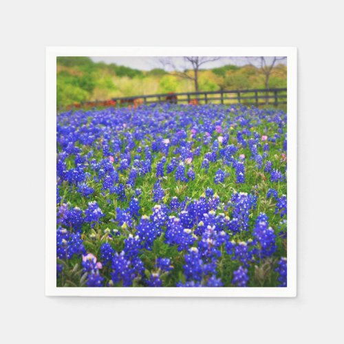 Bluebonnets in Texas Paper Napkins